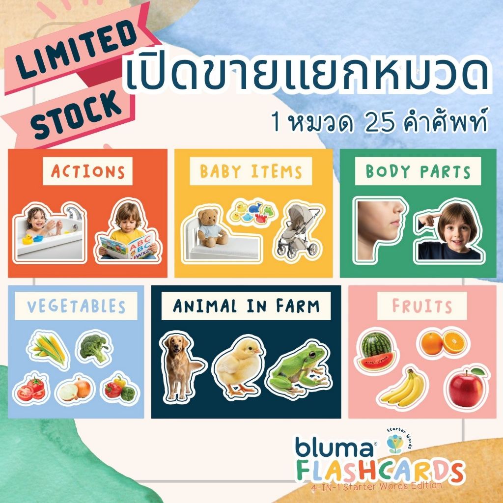 4-in-1 Bluma Flashcard แบ่งหมวด 1หมวด 25 คำ แฟลชการ์ด บัตรคำศัพท์ แนวมอนเตสซอรี่ เสริมพัฒนาการ