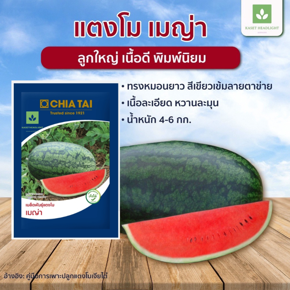 40กรัม แตงโมเมญ่า เมล็ดพันธุ์แตงโม พร้อมส่ง ตอปิโด เจียไต๋ เมล็ดแตงโม แตงโมเจียไต๋