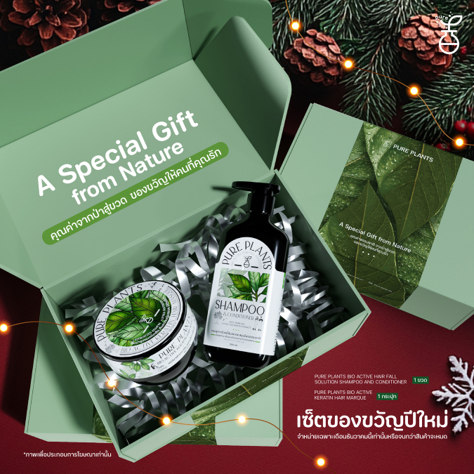 [New Year Set Box] PURE PLANTS เซ็ตแชมพู 2in1 และเคราตินแฮร์มาส์ก สูตรลดผมร่วง จากสมุนไพรใบหมี่ต้มสด