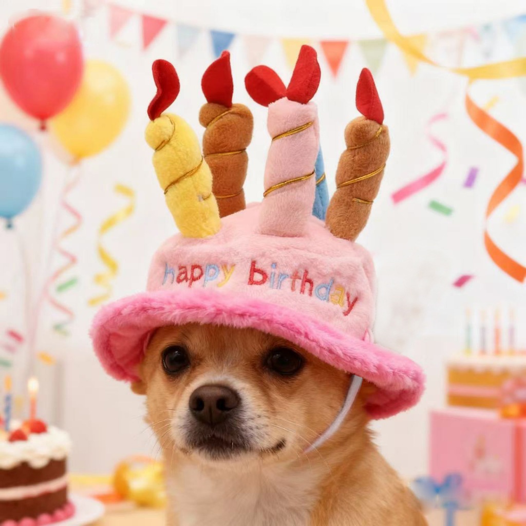 🔥 พร้อมส่ง หมวกวันเกิด Happy birth day🔥หมวกสัตว์เลี้ยง หมา แมว กระต่าย  น่ารัก สีสันสวยงาม