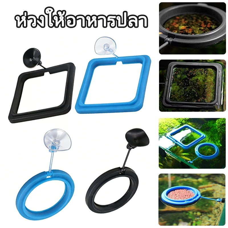 ที่กักอาหารปลา ห่วงให้อาหารปลา ที่กั้นอาหารปลา ใช้สำหรับควบคุมพื้นที่ในการให้อาหารปลา 2 ขนาด สไตล์ และสี
