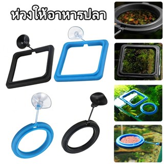 ที่กักอาหารปลา ห่วงให้อาหารปลา ที่กั้นอาหารปลา ใช้สำหรับควบค…