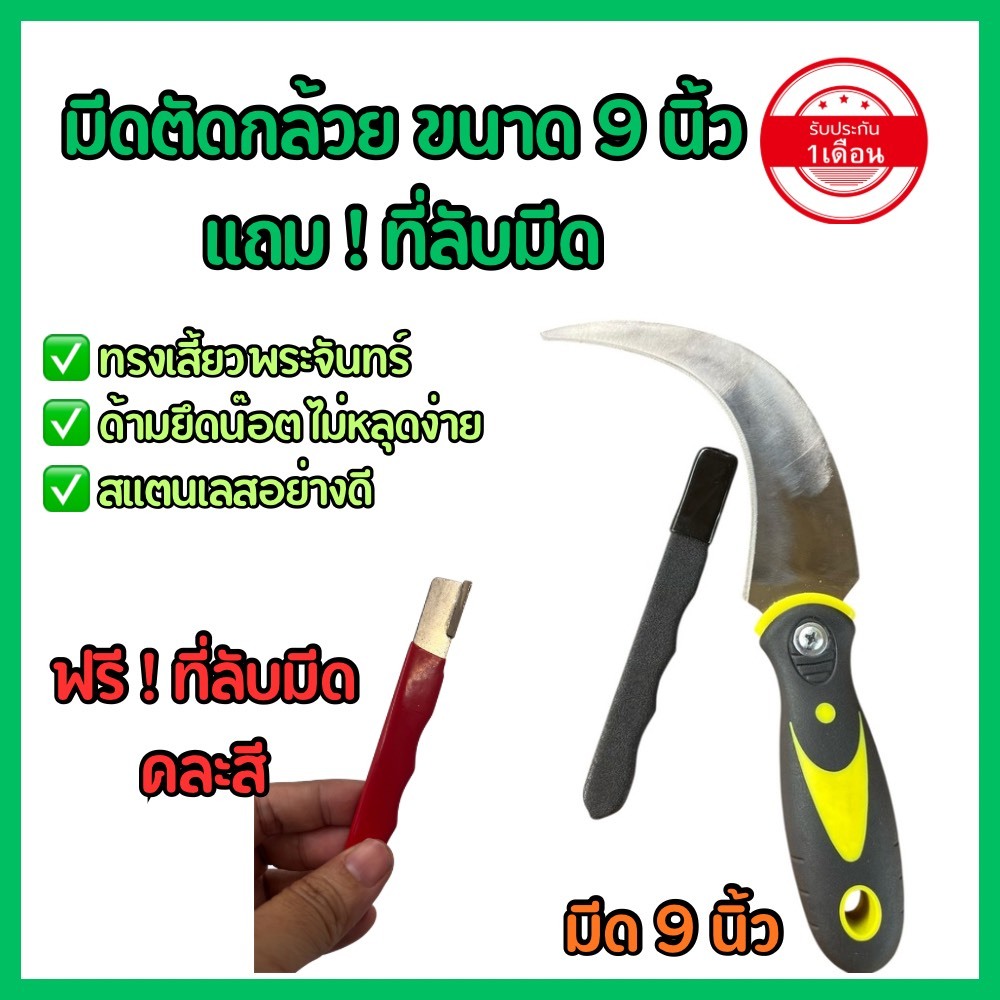 มีดตัดกล้วย ขนาด 9 นิ้ว ฟรี ที่ลับมีด ประกัน 1 เดือน มีดชักกล้วย สแตนเลส ยาวขึ้นโค้งขึ้น  จับแน่นไม่ลื่นมือ มีสกรูยึด