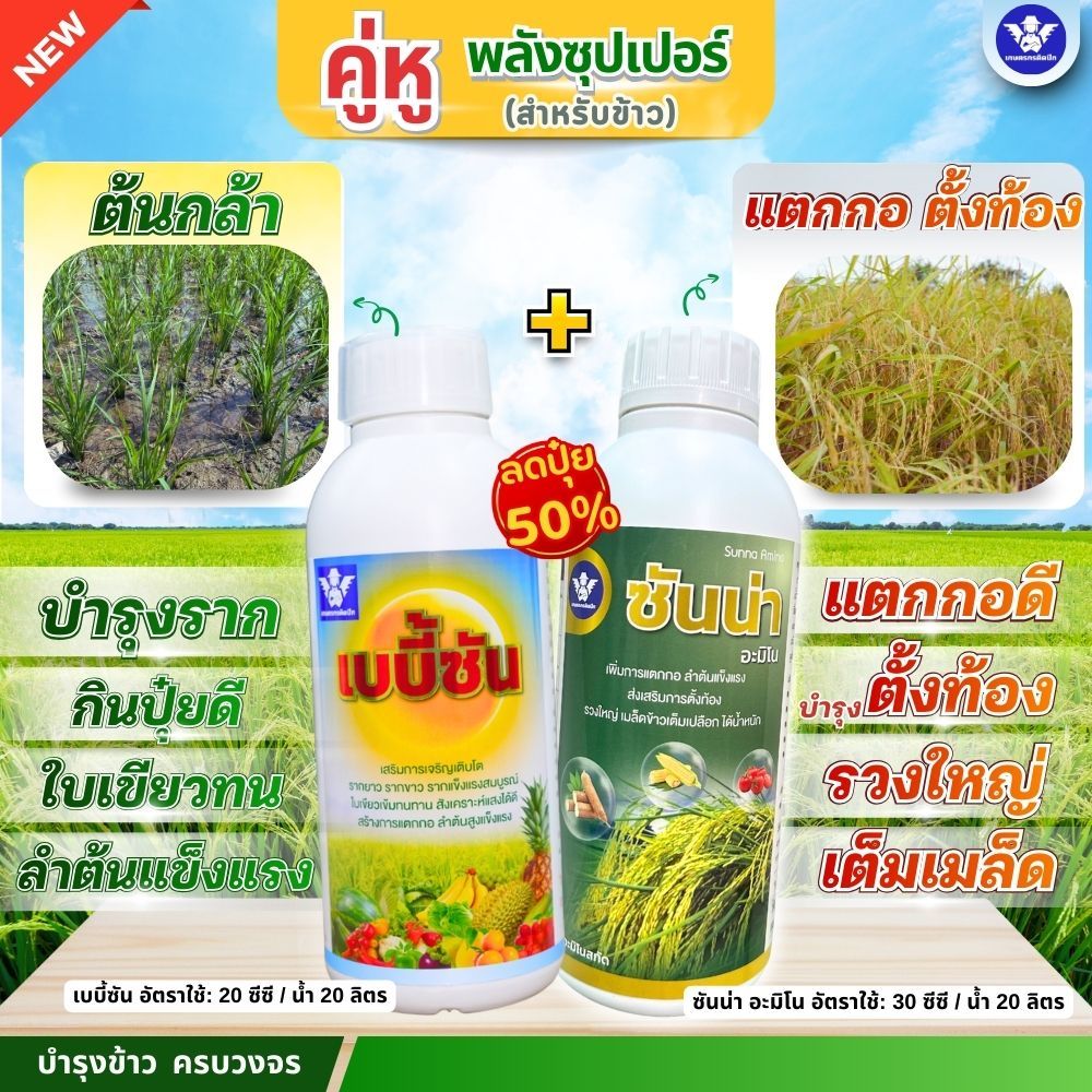 [คู่หู หัวเชื้อX2] เบบี้ซัน+ซันน่า |ครบทุกระยะ อะมิโนเข้มข้นบำรุงราก ใบ+แตกกอดี ตั้งท้อง รวงใหญ่ (สูตรลดปุ๋ย)