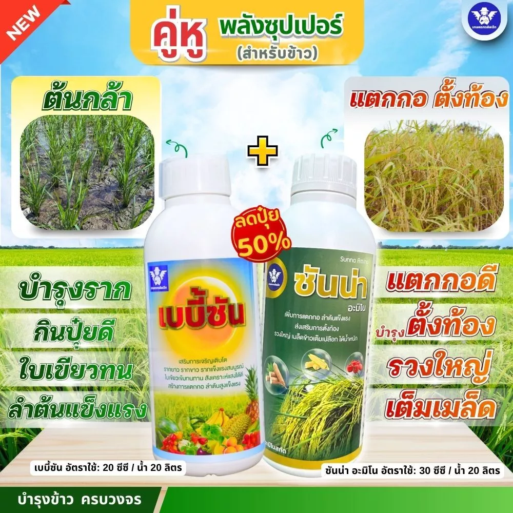 [คู่หู หัวเชื้อX2] เบบี้ซัน+ซันน่า |ครบทุกระยะ อะมิโนเข้มข้นบำรุงราก ใบ+แตกกอดี ตั้งท้อง รวงใหญ่ (สูตรลดปุ๋ย)