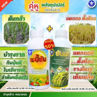 [คู่หู หัวเชื้อX2] เบบี้ซัน+ซันน่า |ครบทุกระยะ อะมิโนเข้มข้นบำรุงราก ใบ+แตกกอดี ตั้งท้อง รวงใหญ่ (สูตรลดปุ๋ย)