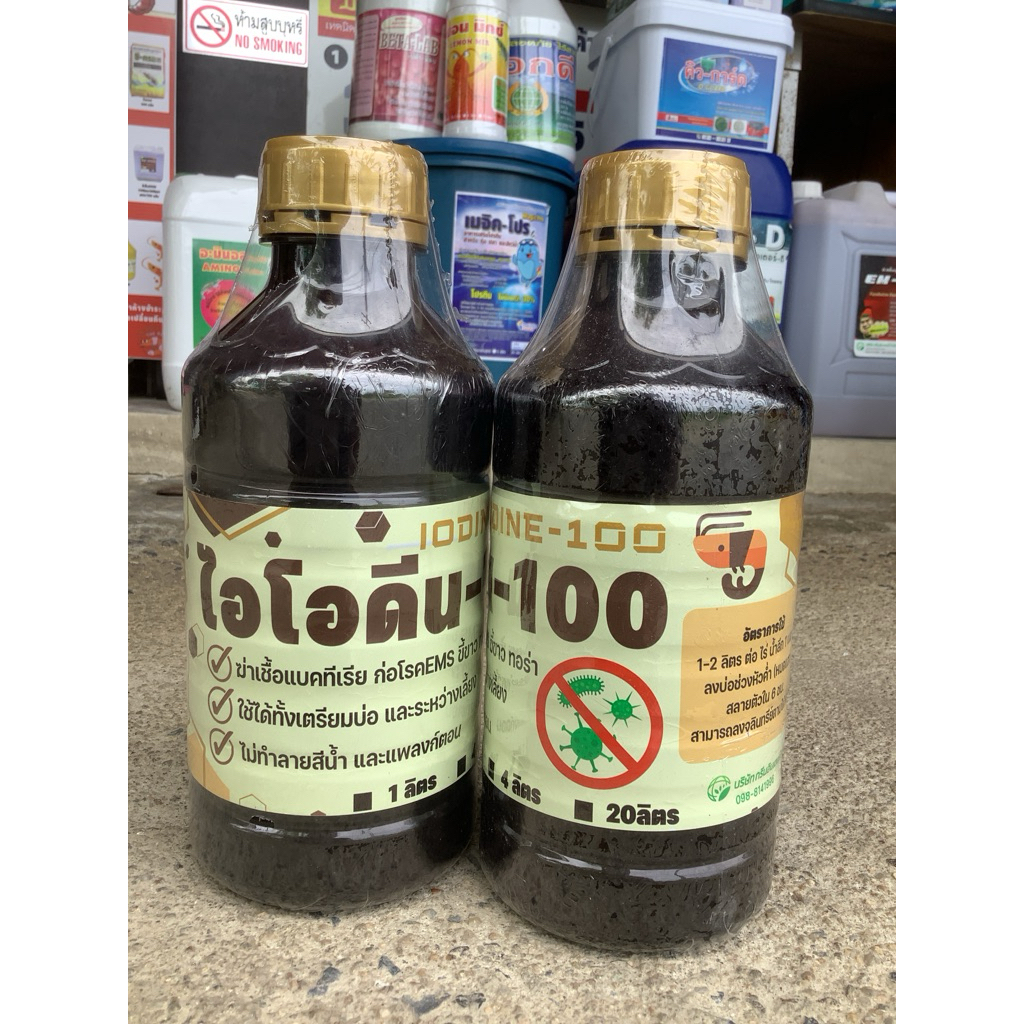 ไอโอดีน-100 สารฆ่าเชื้อ แบคทีเรียวิบริโอ อีเอ็มเอส ขี้ขาว ทอร่า บ่อเลี้ยงกุ้ง บ่อเลี้ยงปลา