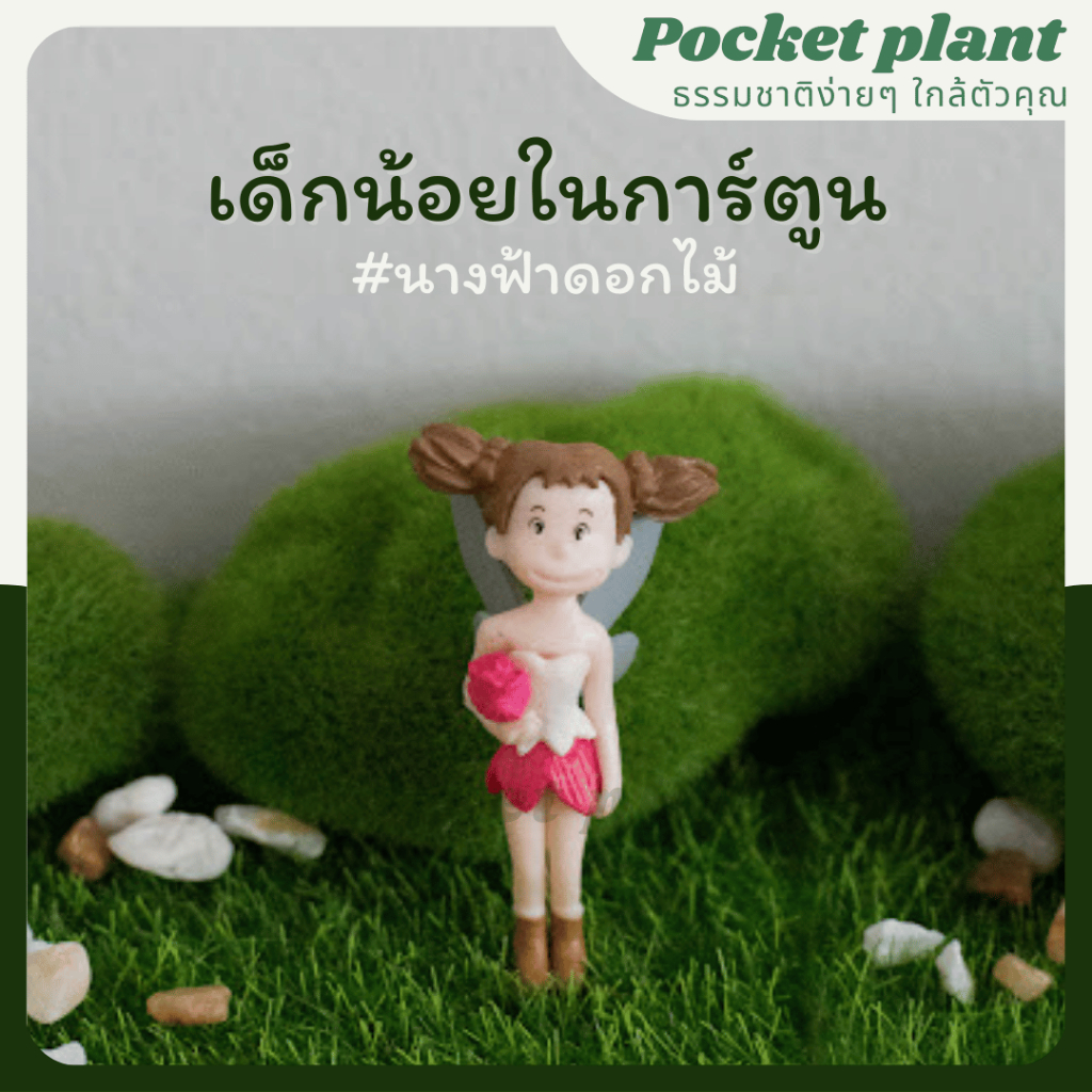 มุมมอง 8