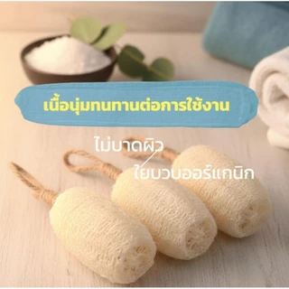 ใยบวบ ใยบวบขัดสปาผิวหน้า บวบขัดตัว ใยบวบจิ๋วงานฝีมือจากธรรมชาติแท้100%มีหลายขนาด