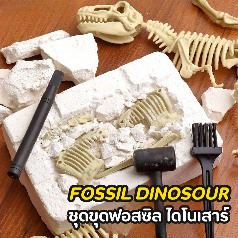 ของเล่น ขุดกระดูกไดโนเสาร์ ขุดของเล่น ไดโนเสาร์ ฟอสซิลอัญมณี หาสมบัติ