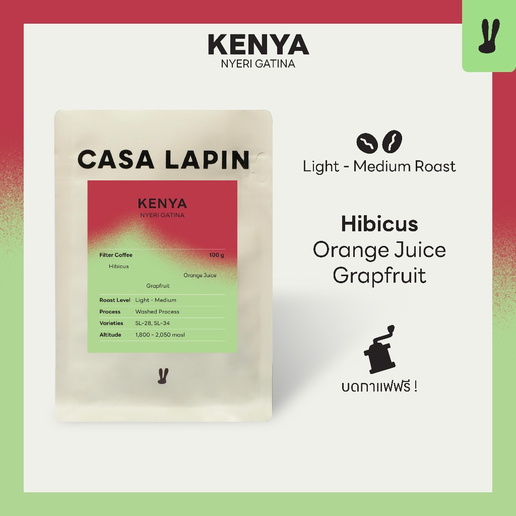 Kenya Nyeri Gatina Washed 100g. | เมล็ดกาแฟสำหรับชง Drip , Filter  | Coffee Beans  | CASA LAPIN