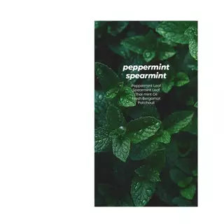 น้ำหอมกลิ่น Peppermint Spearmint 50ml (by La Palette)