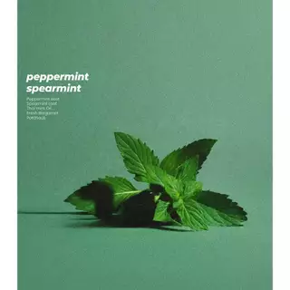 น้ำหอมกลิ่น Peppermint Spearmint 50ml (by La Palette)