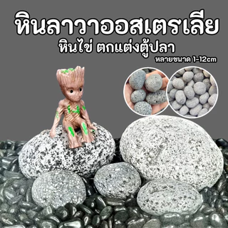 หินลาวาออสเตเลีย หินลาวาอ๊อด หินไข่ หินตกแต่งตู้ปลา 1กิโลกรับ 80 บาท