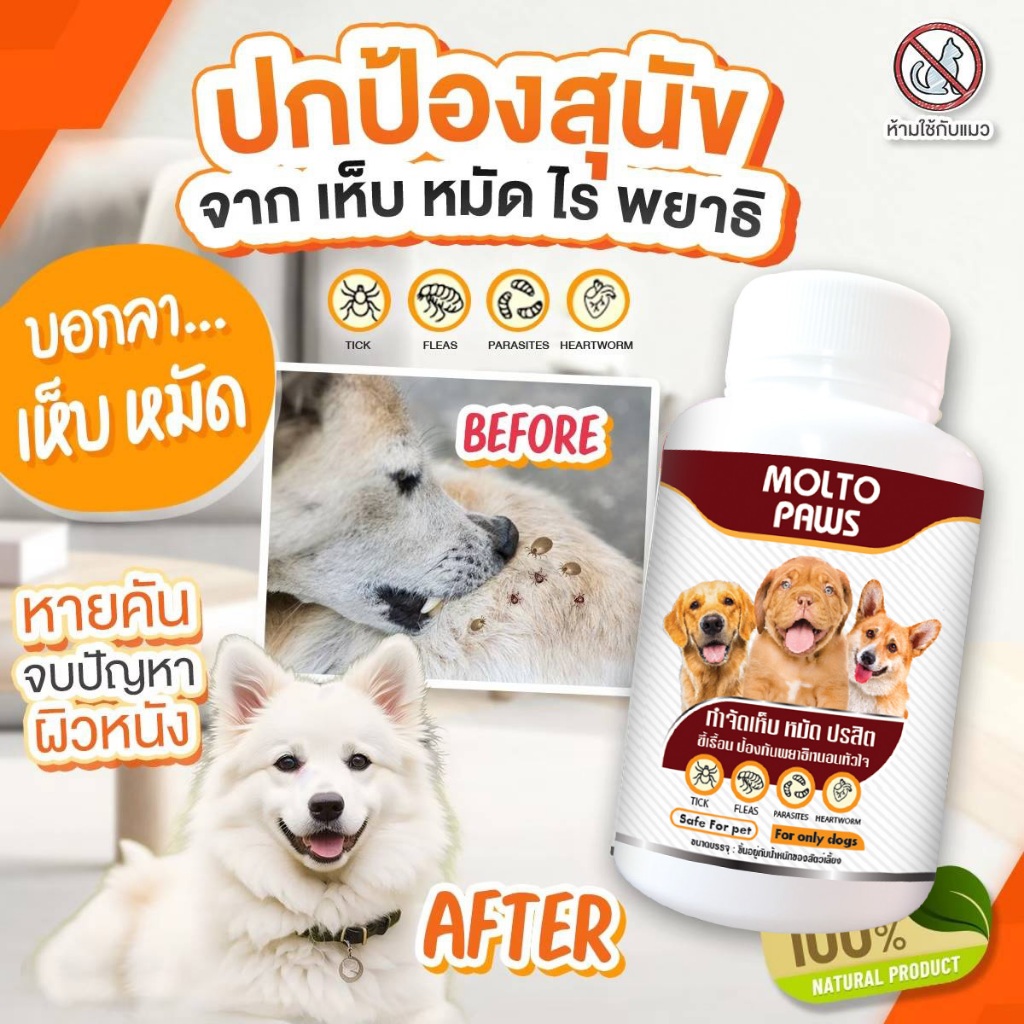 ✅ส่งทุกวัน *เสริมอาหารสัตว์เลี้ยง หายเกลี้ยง เห็บ หมัด ดูแลสุขภาพ สำหรับสุนัข - รูปที่ 2