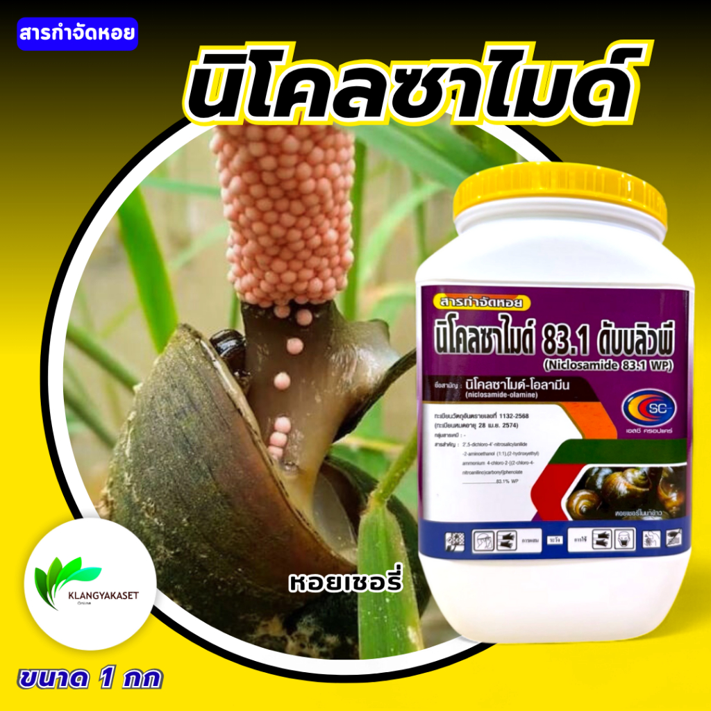 นิโคลซาไมด์ 500 กรัม  กำจัดหอยทุกชนิด เช่น หอยเชอรี่ หอยทาก หอยเจดีย์  ปลอดภัยต่อ ปลา กุ้ง และสัตว์น้ำอื่น
