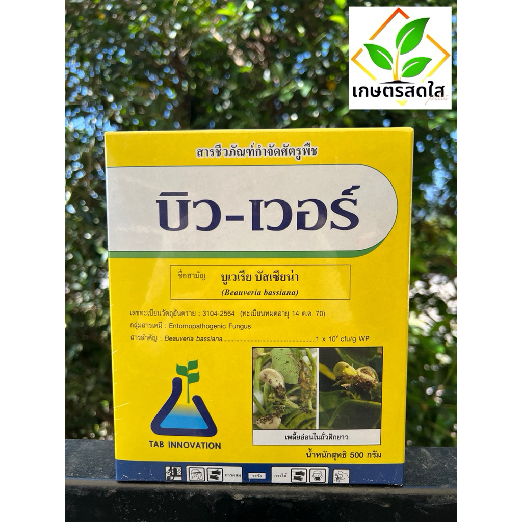 บิว-เวอร์  *ขนาด 500 กรัม เชื้อบูเวเรียบัสเซียน่า สายพันธุ์ บีซีซี 2660 กำจัดพลี้ยแป้ง เพลี้ยหอย หนอนกระทู้ผัก