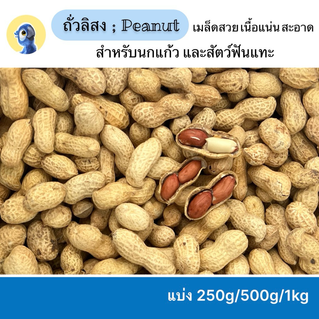 ถั่วลิสงเกรด A สำหรับสัตว์เลี้ยง โปรตีนสูง ปลอดภัย ไม่ผ่านการฟอกสี