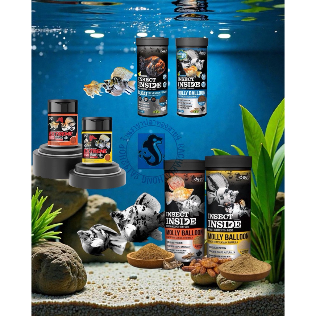 Deep molly balloon อาหารปลาบอลลูน อาหารปลาทอง มีให้เลือกหลายสูตร