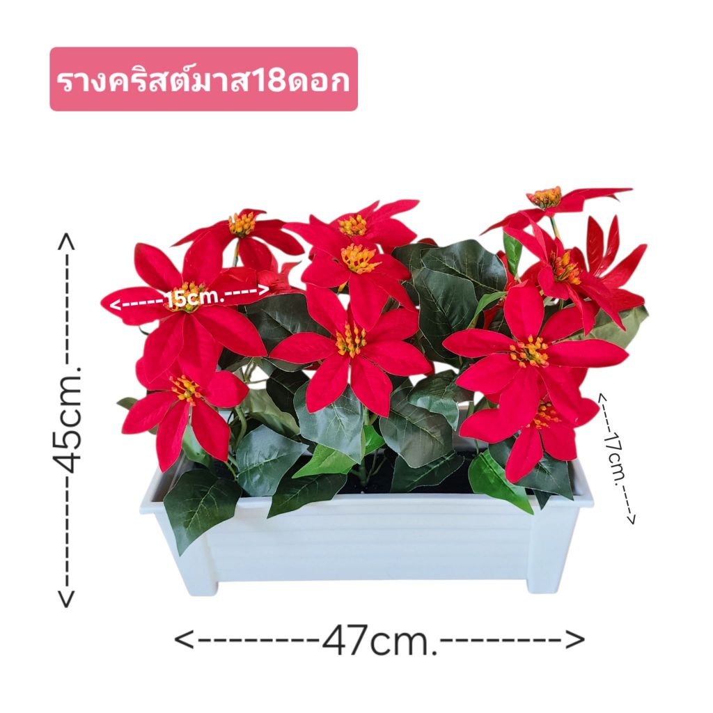 ส่งเร็ว ต้นคริสมาสต์เทียม สูง40Cm มี 7กิ่ง ดอกกว้าง 22cm. มี 7ดอก ทำจากผ้ากำมะหยี่อย่างดี สีสันสดใส แต่งบ้าน แต่งร้าน