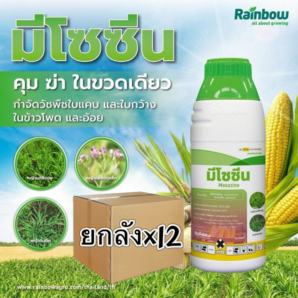 ยกลังx12มีโซซีน (มีโซไตรโอน + อะทราซีน ) ขนาด 1 ลิตร คุม-ฆ่า หญ้าในไร่ข้าวโพด อ้อย  1ขวดต่อ2ไร่