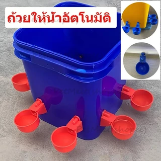 ถูก🎉6ชิ้น ถ้วยให้น้ำอัตโนมัติ น้ำเติมเต็มถ้วยตัดเอง นิปเปิ้ลให้น้ำไก่ สําหรับรดน้ําไก่ ถอดล้างได้ เครื่องให้น้ําอัตโนมัต
