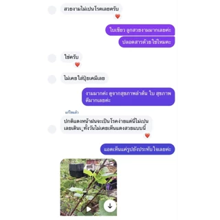 น้ำหมักปลาทะเล Twin Proโมเลกุลเล็กกว่าน้ำหมักทั่วไปดูดซึมทันทีไม่ต้องผ่านการย่อย ส่งออกจีนที่เดียวในไทยขนาด1kg.