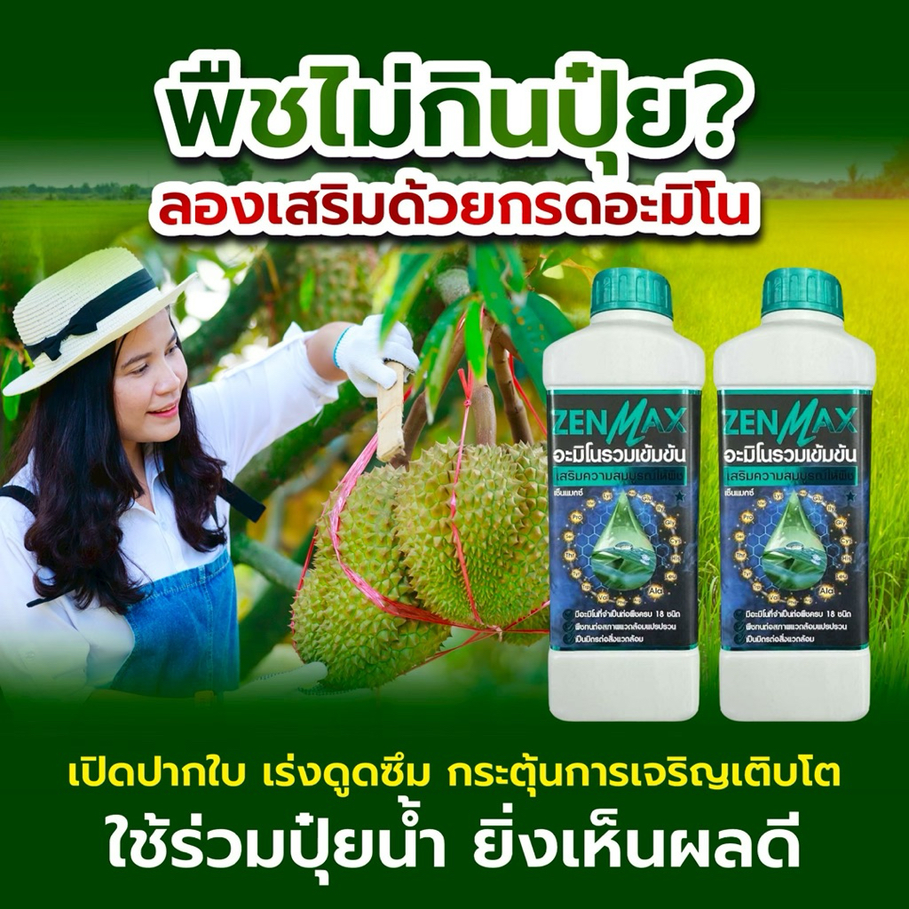 zenmax อะมิโนรวมเข้มข้น (2ลิตร)