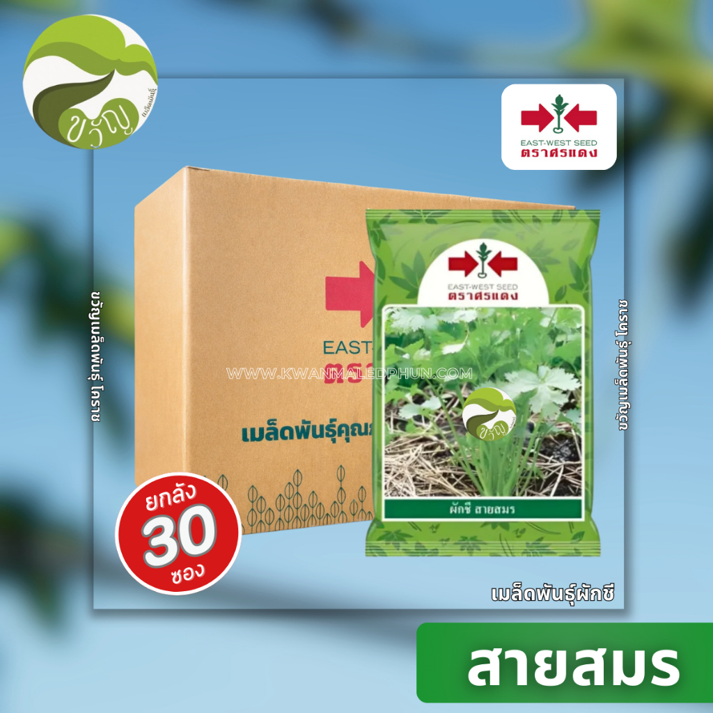ผักชี สายสมร ศรแดง ขนาด 350 กรัม ยกลัง 30 ซอง