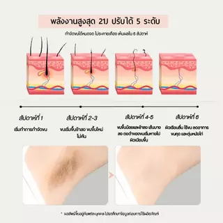️【รับประกัน2ปี】SiIk'n laser ขน เครื่องเลเซอร์ขนเกรดทางการแพทย์ 21J (ไม่จำกัดช็อต)Multi Function สี golden