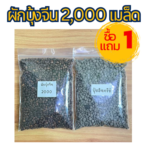 ซื้อ 1 แถม 1 ถูกสุดคุ้ม ผักบุ้งจีน 2,000เมล็ด 69 บาท