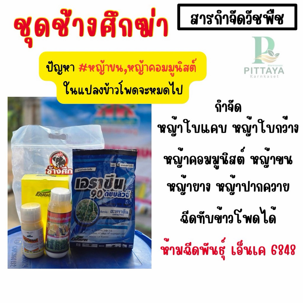 ยารัวข้าวโพด ชุดช้างศึก พ่นทับได้ ปลอดภัยต่อข้าวโพด กำจัด หญ้าขน หญ้าคอมมิวนิสต์  **ห้ามพ่น NK6848