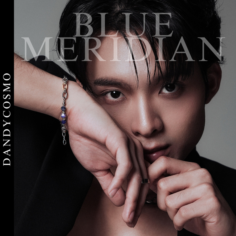 DANDY COSMO |สร้อยข้อมือ สแตนเลส ผสมหิน กำไล ผู้ชาย รุ่น BLUE MERIDIAN