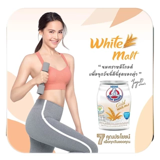 ( X1 ถาด) นมหมี โกลด์ ผสมมอลต์สกัด นมตราหมีกระป๋อง ขนาด 140 มล. (ยกลัง 1 ถาด : รวม 24กระป๋อง)
