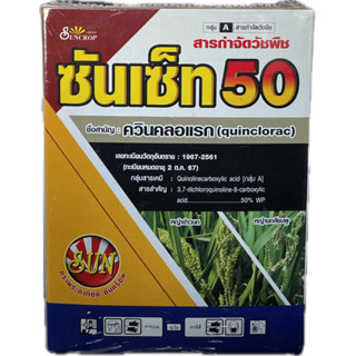 หญ้าข้าวนก หญ้านกสีชมพู ประเภทใบแคบ ซันเซ็ท 50 ขนาด 100 กรัม