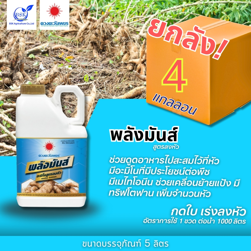 (ยกลัง5L*4) พลังมันส์ แกลลอน 5 L (ดวงตะวันเพชร)