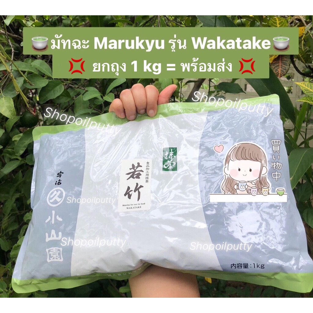 (พร้อมส่ง) ล๊อตใหม่ล่าสุด‼️ Marukyu Koyamaen Wakatake ถุงใหญ่ 1 kg จากญี่ปุ่น🍵🍃🎌