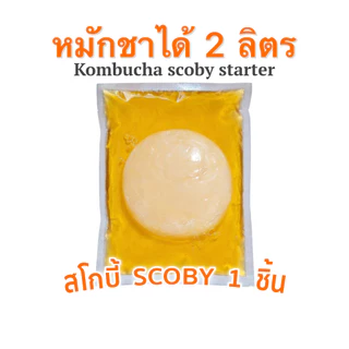 คอมบูชา หมักได้ 7 ลิตร Kombucha Scoby สโคบี้+น้ำหัวเชื้อหมักตั้งต้น 700ml พร้อมคู่มือการหมัก