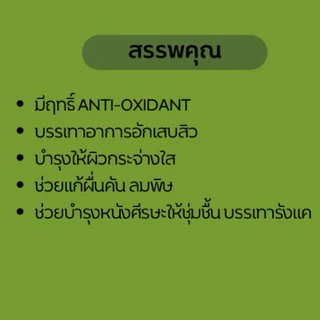 ต้นย่านางหรือใบย่านาง เพาะเมล็ด สั่งขั้นต่ำ2ต้น ต้นสวยสมบูรณ์มาก พร้อมปลูกเก็บไว้คั้นเอาน้ำทำแกงหน่อไม้