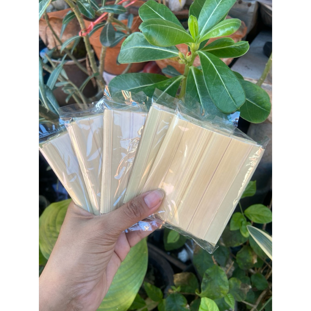 ใบจากตากแดดธรรมชาติ ใบใหญ่