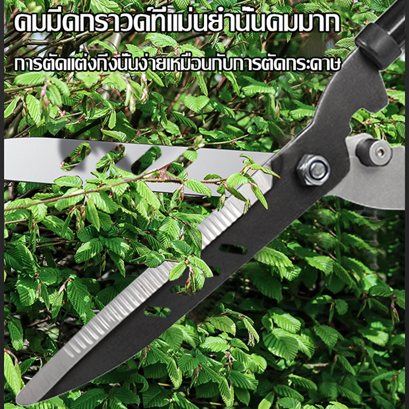 IN กรรไกรตัดหญ้า กรรไกรตัดแต่งพุ่มไม้ กรรไกรตัดกิ่งไม้ ตัดกิ่งไม้ ตกแต่งสวน - รูปที่ 3