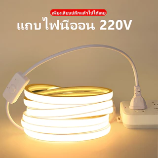 ไฟแถบนีออน LED ดัดงอได้ ยาว 3-30ม ไฟเส้น led 220V ไฟแต่งห้อง ต่อปลั๊กให้พร้อมใช้งาน กันน้ํา สําหรับตกแต่งคริสต์