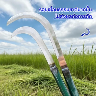 คียวเหล็กแมงกานีสพร้อมมีดถางหญ้า คู่มือคันท์และจับกลม สำหรับเกี่ยวหญ้าและข้าว เคียวเหล็กแมงกานีส ใช้งานได้หลากหลาย