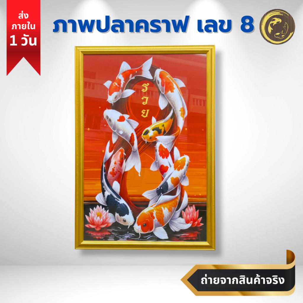 [ภาพปลาเลข 8 ] ภาพปลาคราฟ 9 ตัว ว่ายวนเป็นเลข 8 เสริมฮวงจุ้ย เพิ่มบารมี