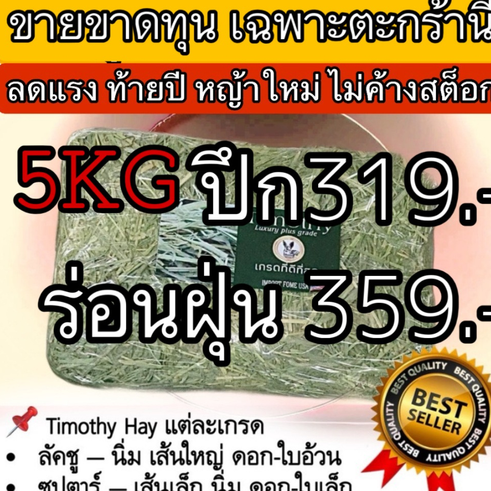 📌มีหญ้าทุกแบบในไทย📌 ทิมโมธีส้นสวยๆ ดอกญ้าเยอะๆ ต้องลัคชูรี่