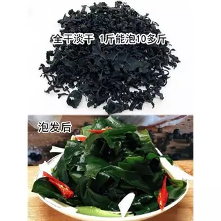 สาหร่ายวากาเมะแห้ง สาหร่าย สาหร่ายทะเลอบแห้ง ขนาด 100g พร้อมจัดส่ง
