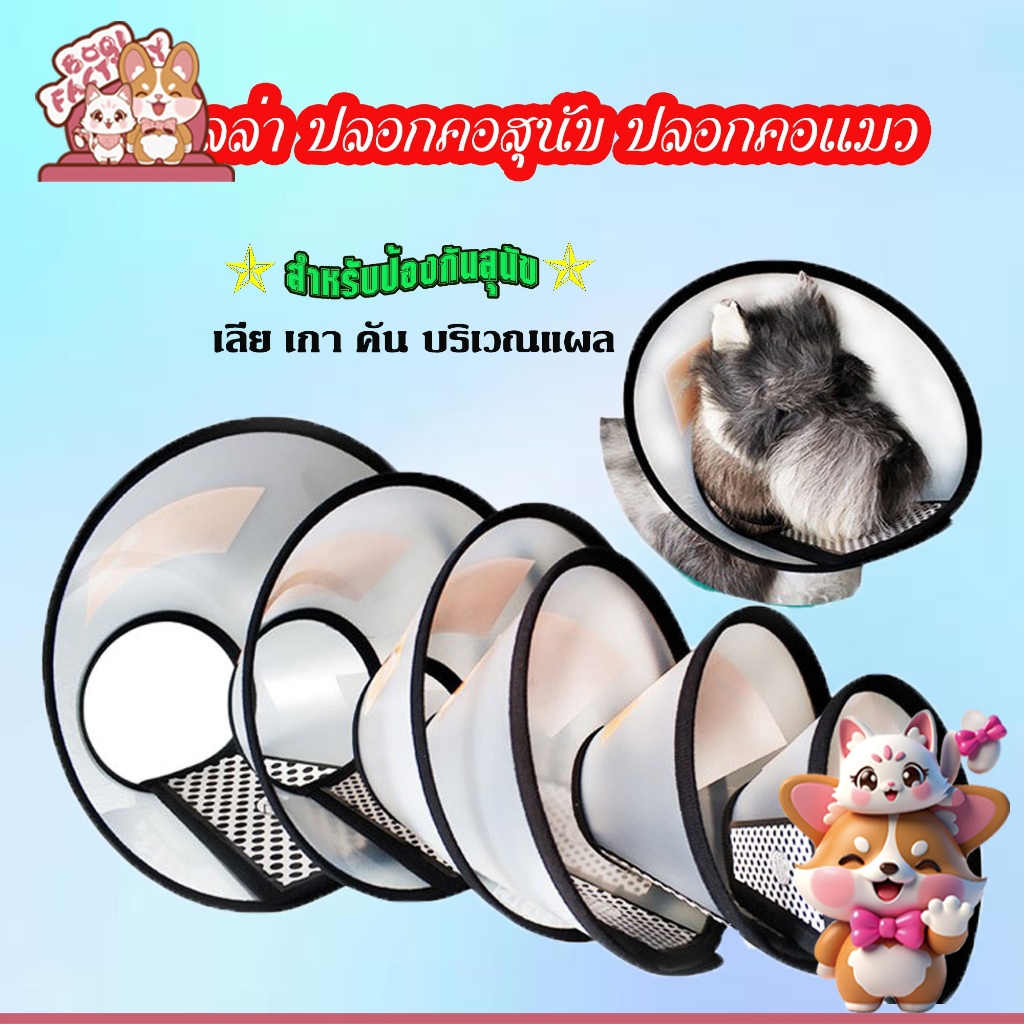 Boqi Factory พร้อมส่ง คอลล่าร์ ปลอกคอกันเลียแผล สำหรับสุนัขและแมว คอลล่า ปลอกคอสุนัข ปลอกคอแมว คอลล่า CBYL