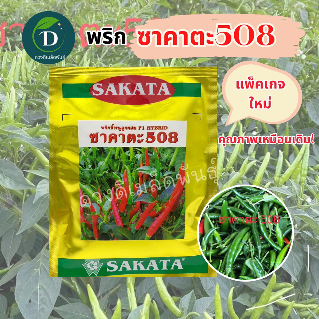 เมล็ดพริก ซาคาตะ508 ขนาด 50 กรัม เม็ดใหญ่ ผลดก