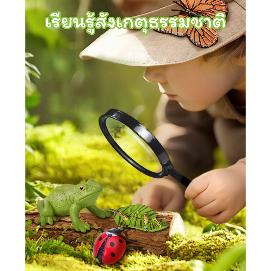 JoyCat ชุดเรียนรู้วงจรชีวิตสัตว์ 4in1 (Life Cycle) ของเล่นเสริมพัฒนาการเด็ก 3-8 ปี วัสดุเกรดพรีเมียม ปลอดภัย มาตรฐานสากล - รูปที่ 6