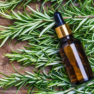 เมล็ดโรสแมรี่ (Rosemary Seeds) 20 เมล็ด | สมุนไพรฝรั่ง กลิ่นหอม ปลูกง่าย | เมล็ดสมุนไพรสวนครัว